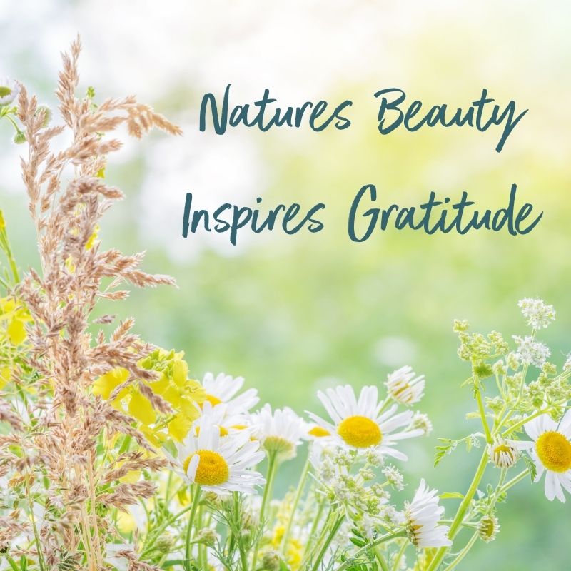 natures_beauty_sarah_haykel_resources_ny