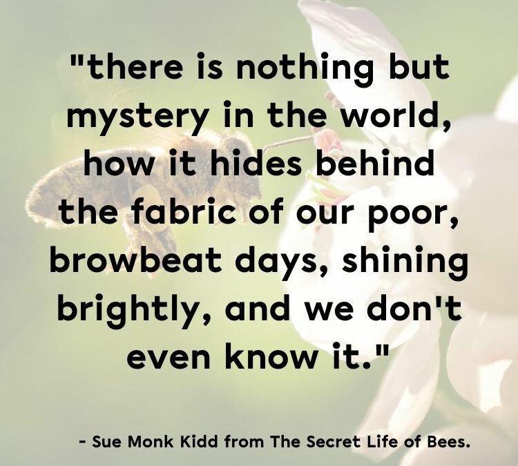 Sue Monk Kidd’s The Secret Life of Bees Quote